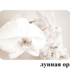БОСТОН - 3 Стол раздвижной 1100/1420 опоры Брифинг в Кургане - kurgan.mebel24.online | фото 26