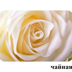 БОСТОН - 3 Стол раздвижной 1100/1420 опоры Триумф в Кургане - kurgan.mebel24.online | фото 47