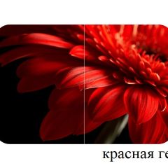 БОСТОН - 3 Стол раздвижной 1100/1420 опоры Триумф в Кургане - kurgan.mebel24.online | фото 18
