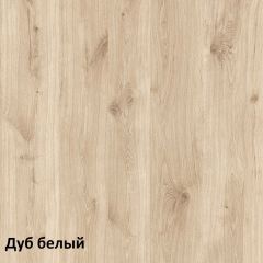 Эйп Шкаф комбинированный 13.14 в Кургане - kurgan.mebel24.online | фото 4
