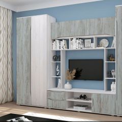 Гостиная Аванта (Анкор светлый/Артвуд темный) в Кургане - kurgan.mebel24.online | фото