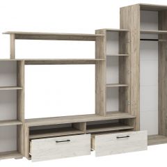 Гостиная Эмма (Дуб Крафт серый/белый) в Кургане - kurgan.mebel24.online | фото 3