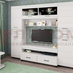 Гостиная Камелия Композиция 10 (Снежный ясень) в Кургане - kurgan.mebel24.online | фото