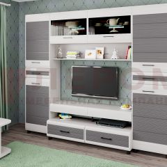 Гостиная Камелия Композиция 10 (Снежный ясень - серый) в Кургане - kurgan.mebel24.online | фото