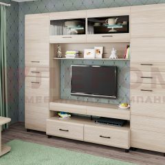 Гостиная Камелия Композиция 10 (Ясень Асахи) в Кургане - kurgan.mebel24.online | фото