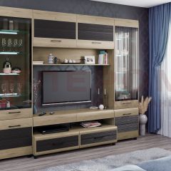 Гостиная Камелия Композиция 11 (Гикори Джексон светлый комбинированный) в Кургане - kurgan.mebel24.online | фото