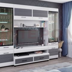 Гостиная Камелия Композиция 11 (Снежный ясень - серый) в Кургане - kurgan.mebel24.online | фото