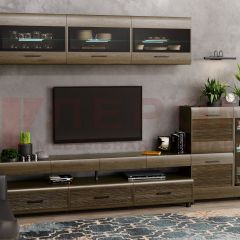 Гостиная Камелия Композиция 12 (Гикори Джексон темный) в Кургане - kurgan.mebel24.online | фото 1