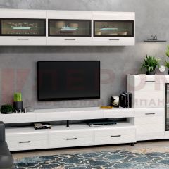 Гостиная Камелия Композиция 12 (Снежный ясень) в Кургане - kurgan.mebel24.online | фото 1