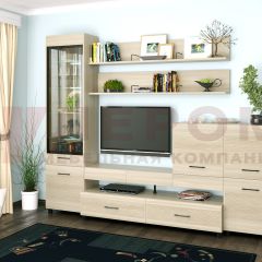 Гостиная Камелия Композиция 5 (Ясень Асахи) в Кургане - kurgan.mebel24.online | фото