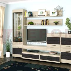 Гостиная Камелия Композиция 5 (Ясень Асахи комбинированный) в Кургане - kurgan.mebel24.online | фото