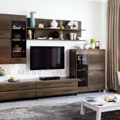 Гостиная Камелия Композиция 6 (Гикори Джексон темный) в Кургане - kurgan.mebel24.online | фото