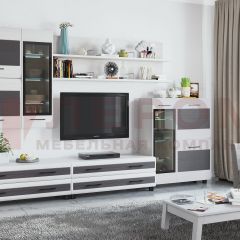 Гостиная Камелия Композиция 6 (Снежный ясень - серый) в Кургане - kurgan.mebel24.online | фото