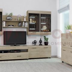 Гостиная Камелия Композиция 8 (Гикори Джексон светлый) в Кургане - kurgan.mebel24.online | фото 3