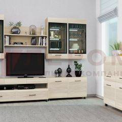 Гостиная Камелия Композиция 8 (Ясень Асахи) в Кургане - kurgan.mebel24.online | фото