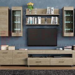 Гостиная Камелия Композиция 9 (Гикори Джексон светлый) в Кургане - kurgan.mebel24.online | фото