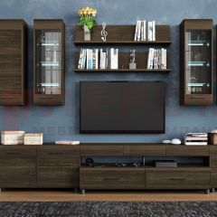 Гостиная Камелия Композиция 9 (Гикори Джексон темный) в Кургане - kurgan.mebel24.online | фото