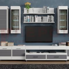 Гостиная Камелия Композиция 9 (Снежный ясень - серый) в Кургане - kurgan.mebel24.online | фото