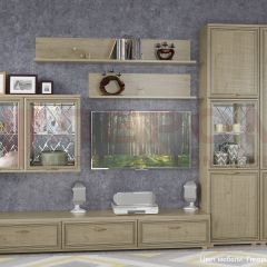 Гостиная Карина Композиция 1 (Гикори Джексон светлый) в Кургане - kurgan.mebel24.online | фото