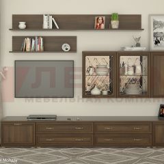 Гостиная Карина Композиция 10 (Акация Молдау) в Кургане - kurgan.mebel24.online | фото