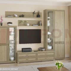 Гостиная Карина Композиция 12 (Гикори Джексон светлый) в Кургане - kurgan.mebel24.online | фото