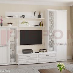 Гостиная Карина Композиция 12 (Снежный ясень) в Кургане - kurgan.mebel24.online | фото