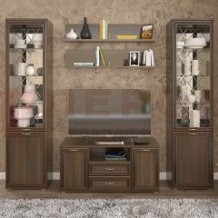 Гостиная Карина Композиция 13 (Акация Молдау) в Кургане - kurgan.mebel24.online | фото