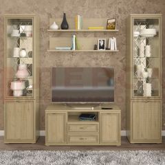 Гостиная Карина Композиция 13 (Гикори Джексон светлый) в Кургане - kurgan.mebel24.online | фото