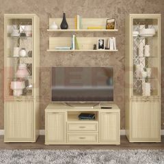 Гостиная Карина Композиция 13 (Ясень Асахи) в Кургане - kurgan.mebel24.online | фото