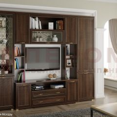 Гостиная Карина Композиция 2 (Акация Молдау) в Кургане - kurgan.mebel24.online | фото 1