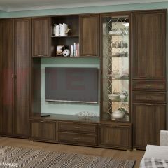 Гостиная Карина Композиция 21 (Акация Молдау) в Кургане - kurgan.mebel24.online | фото