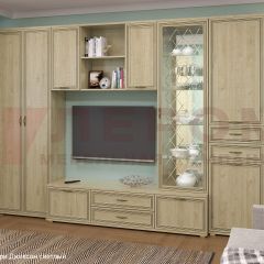 Гостиная Карина Композиция 21 (Гикори Джексон светлый) в Кургане - kurgan.mebel24.online | фото 6