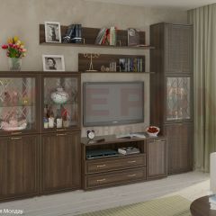 Гостиная Карина Композиция 22 (Акация Молдау) в Кургане - kurgan.mebel24.online | фото