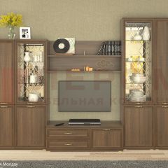 Гостиная Карина Композиция 24 (Акация Молдау) в Кургане - kurgan.mebel24.online | фото
