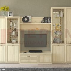 Гостиная Карина Композиция 24 (Ясень Асахи) в Кургане - kurgan.mebel24.online | фото