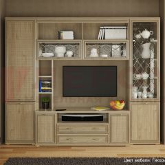 Гостиная Карина Композиция 9 (Гикори Джексон светлый) в Кургане - kurgan.mebel24.online | фото