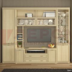 Гостиная Карина Композиция 9 (Ясень Асахи) в Кургане - kurgan.mebel24.online | фото