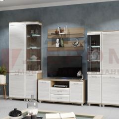 Гостиная Мелисса Композиция 5 (корпус Ясень Асахи, фасад Снежный ясень) в Кургане - kurgan.mebel24.online | фото 2