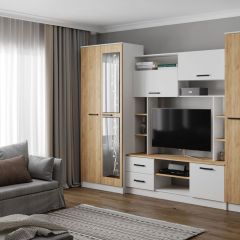 Гостиная СОЛО ЛДСП Белый /ЛДСП Дуб крафт золотой в Кургане - kurgan.mebel24.online | фото
