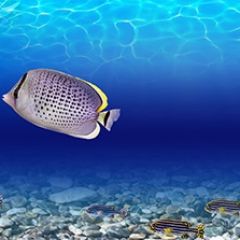 Кухонный фартук Фауна 026 МДФ матовый (3000) Fauna в Кургане - kurgan.mebel24.online | фото