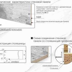 Кухонный фартук со столешницей (А-010) в едином стиле (3050 мм) в Кургане - kurgan.mebel24.online | фото 6