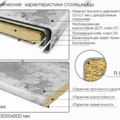 Кухонный фартук со столешницей (А-09) в едином стиле (3050 мм) в Кургане - kurgan.mebel24.online | фото 6