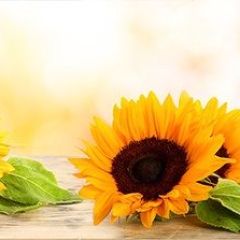 Кухонный фартук Цветы 331 МДФ матовый (3000) Flowers в Кургане - kurgan.mebel24.online | фото