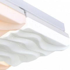 Накладной светильник Escada Frost 10204/4LED в Кургане - kurgan.mebel24.online | фото 2