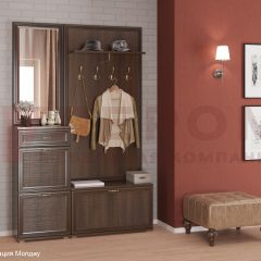 Прихожая Карина композиция 2 (Акация Молдау) в Кургане - kurgan.mebel24.online | фото