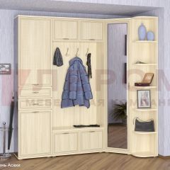 Прихожая Карина композиция 3 (Ясень Асахи) в Кургане - kurgan.mebel24.online | фото