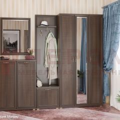 Прихожая Карина композиция 4 (Акация Молдау) в Кургане - kurgan.mebel24.online | фото