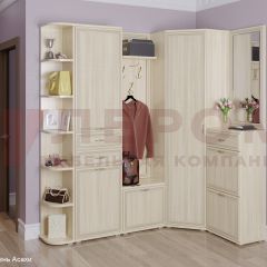 Прихожая Карина композиция 5 (Ясень Асахи) в Кургане - kurgan.mebel24.online | фото