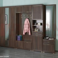 Прихожая Карина композиция 6 (Акация Молдау) в Кургане - kurgan.mebel24.online | фото