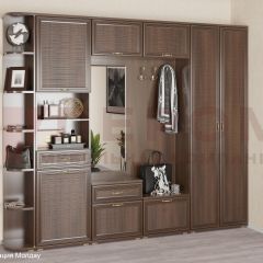 Прихожая Карина композиция 7 (Акация Молдау) в Кургане - kurgan.mebel24.online | фото